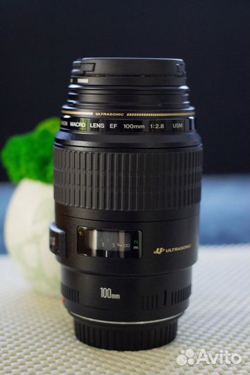 Объектив Canon EF 100mm f/2.8 Macro USM
