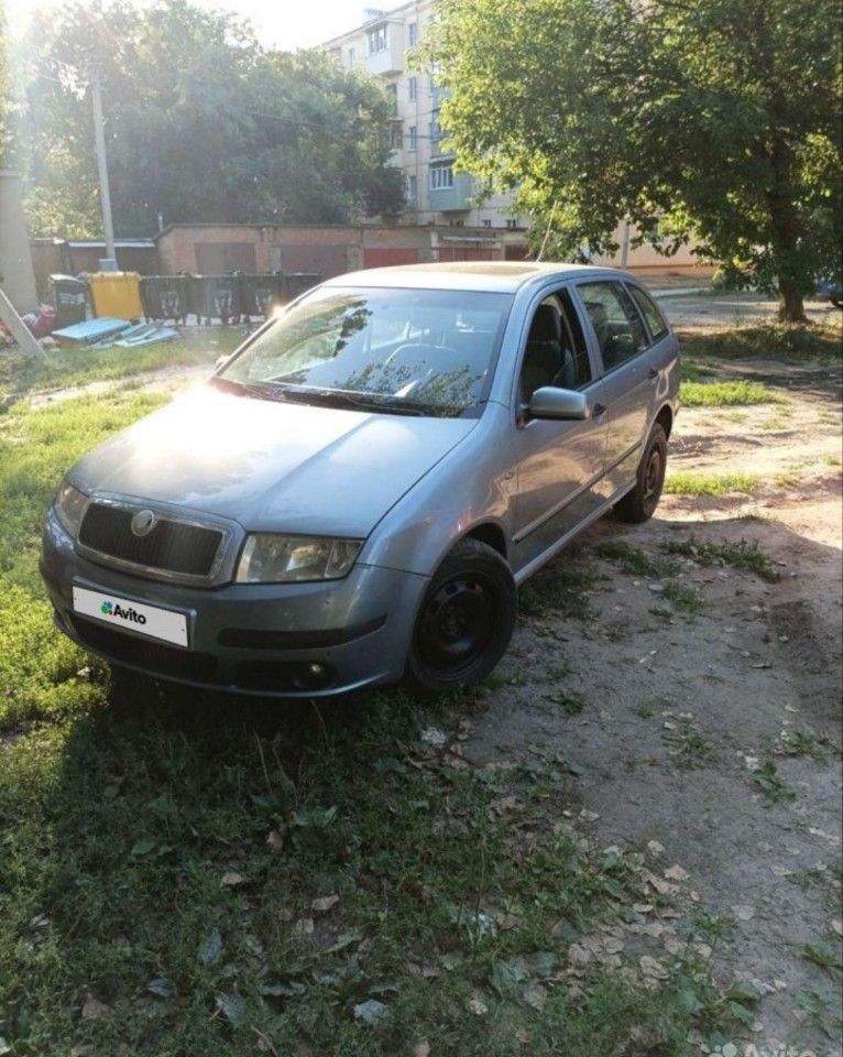Skoda Fabia: фото владельца