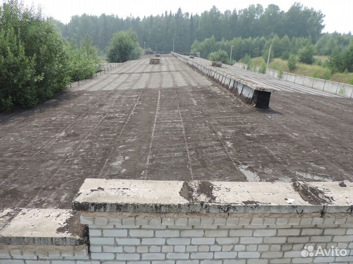 Помещение свинокомплекс коровник ферма крс скот