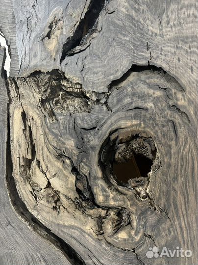 Слэбы из мореного дуба