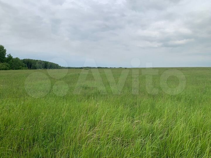 Участок 11 сот. (ИЖС)