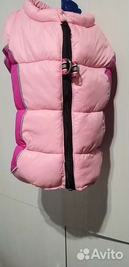 Комбинезон для собаки