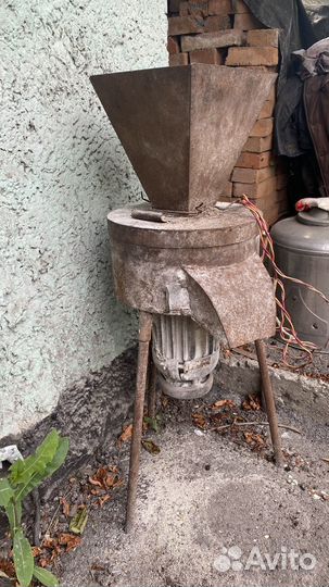Крупорушка