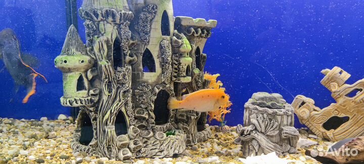 Аквариум с тумбой, рыбками и оборудованием на 230л