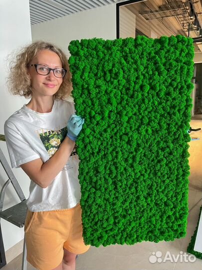 Панно картина фитостена панель стабилизирован мох