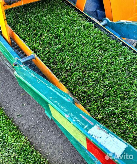 Рулонный газон для дачи