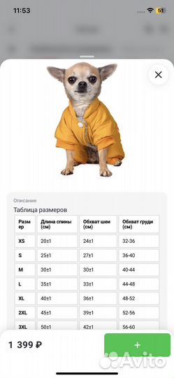 Зимний комбинезон новый хs