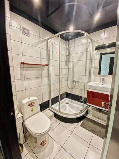 1-к. квартира, 43 м², 10/10 эт.