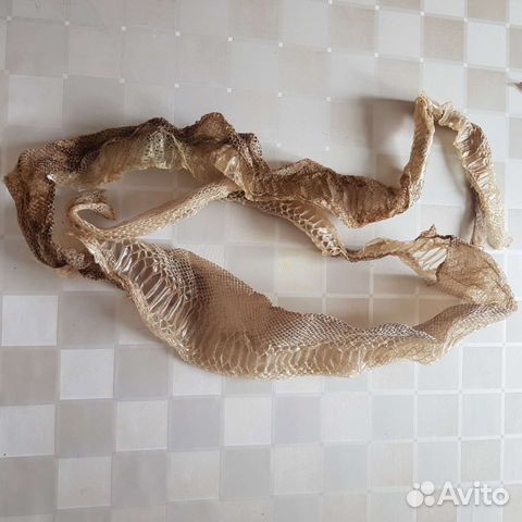 Выползок удава