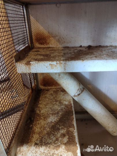 Клетка витрина для грызунов отдаю самовывоз