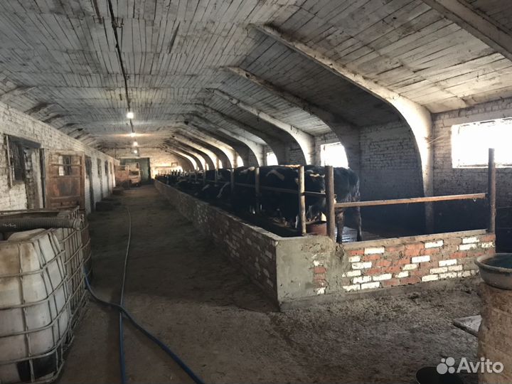 Ферма действующая