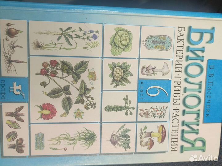 Учебник по биологии, 6 класс, Пасечник