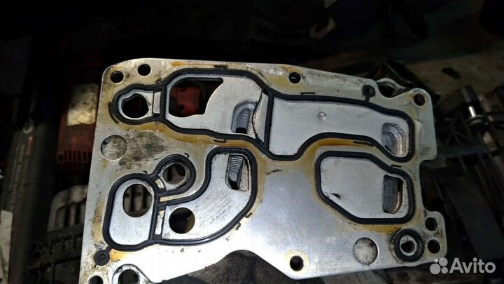 Теплообменник bmw f масляный