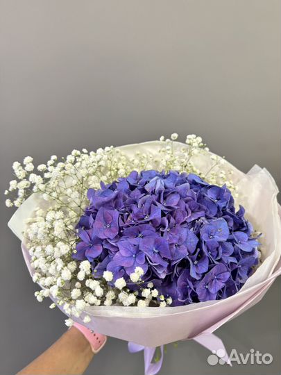 Гортензия цветы букет