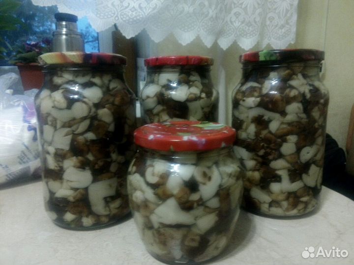 Грибы