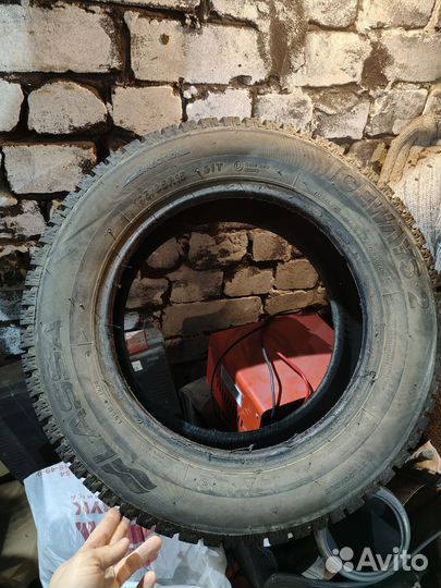 Lassa Iceways 2 195/65 R15