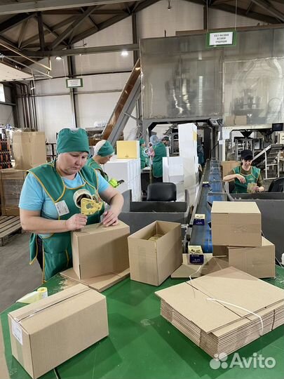 Фасовочная линия. Интегралл инпак эконом