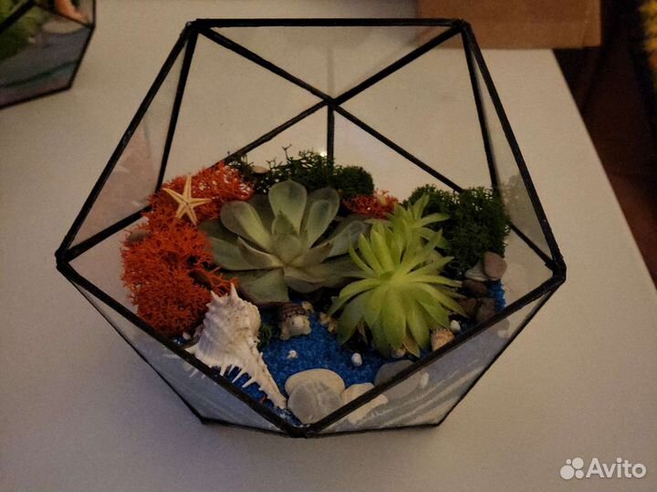 Флорариум с суккулентами