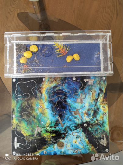 Муравьиная ферма с муравьями