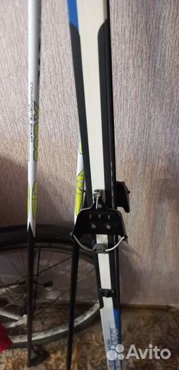 Беговые лыжи