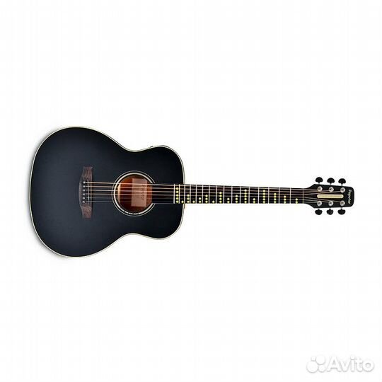 Poputar T2 Solid Top Edition