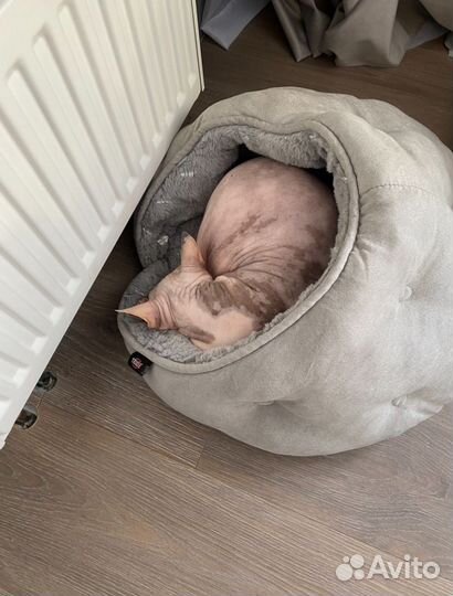 Лежак собаки или кошки