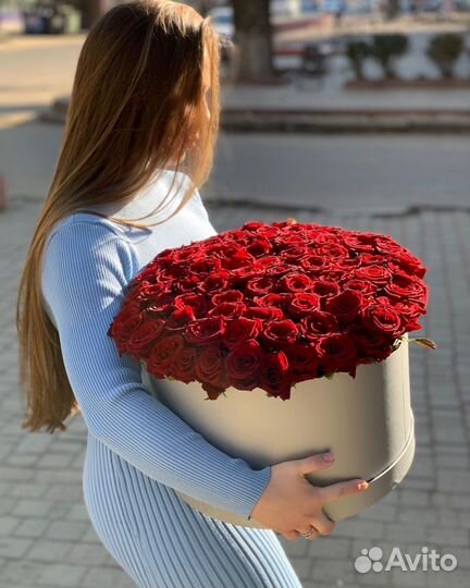 101 Роза цветы 201 101 51 Роза