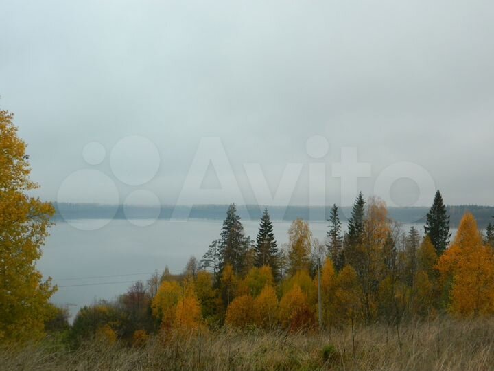 Дом 36 м² на участке 18 сот.