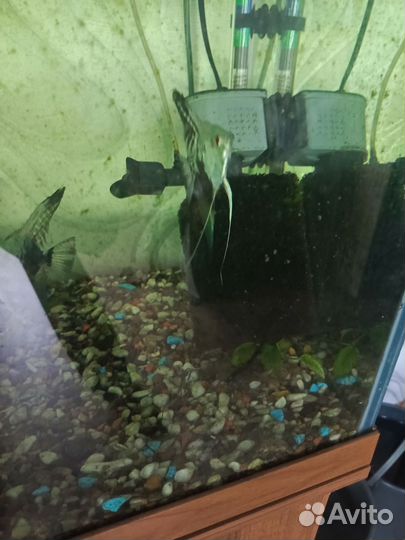 Украшение для аквариума