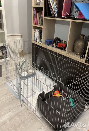 Клетка вольер для животных 63 *63