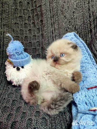 Облачка белоснежные