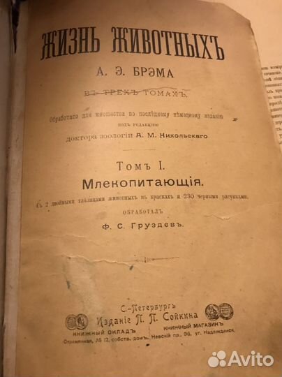 Брем жизнь животных первый том 1902 год