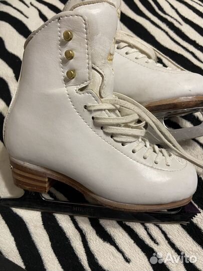 Фигурные коньки jackson elle