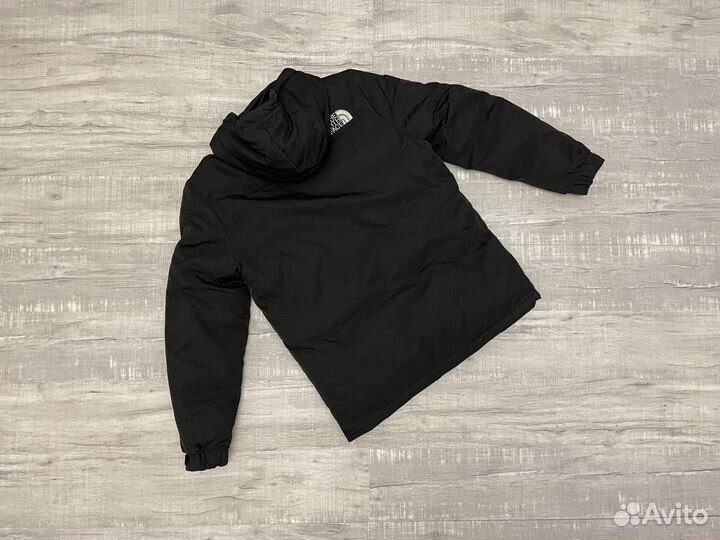 Зимняя куртка TNF