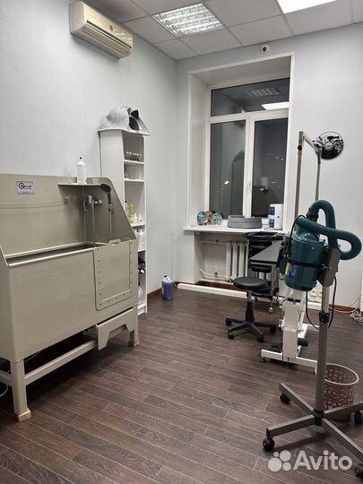 Аренда груминг места Рабочее место грумера кабинет