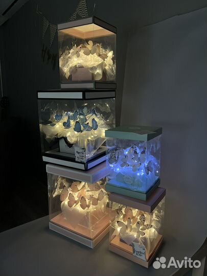 Аквариум с бабочками