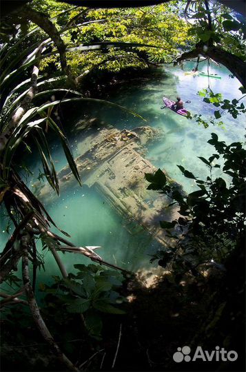 Чистка аквариумов и прудов любой сложности. Подбор