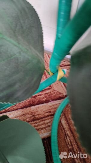 Цветок розы из изолона 150см