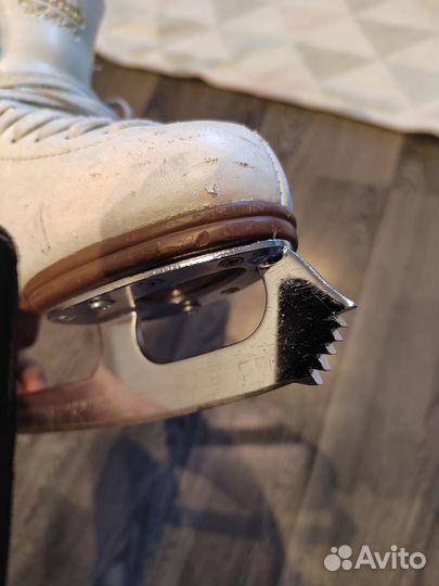 Коньки для фигурного катания Jackson Artiste