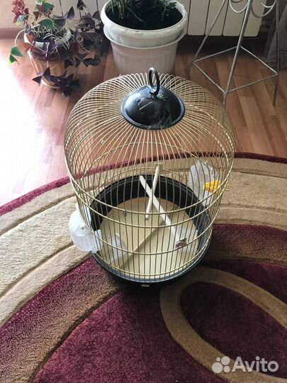 Клетка для попугая бу