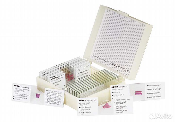 Микропрепараты для микроскопа 