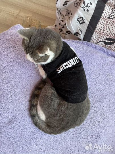 Дуняша-няша ждет свою бабушку