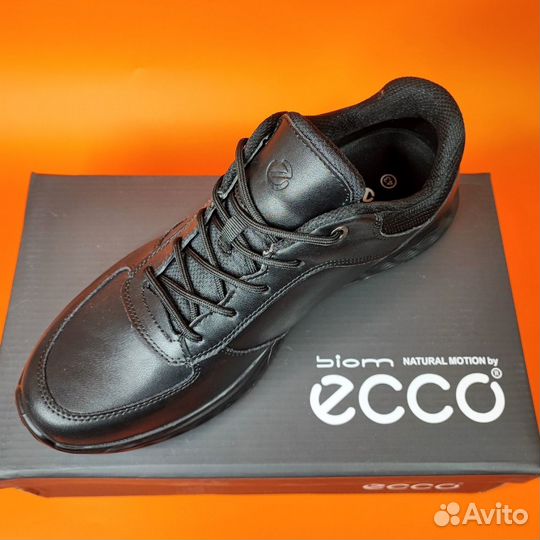 Ecco Biom