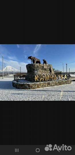 Свежемороженная рыба,красная икра и морепродукты.О