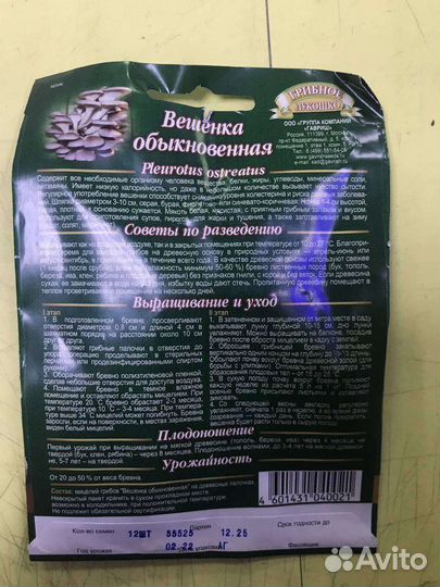 Мицелий грибов