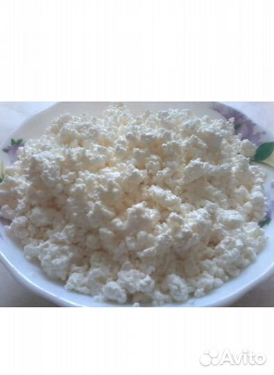 Домашний творог