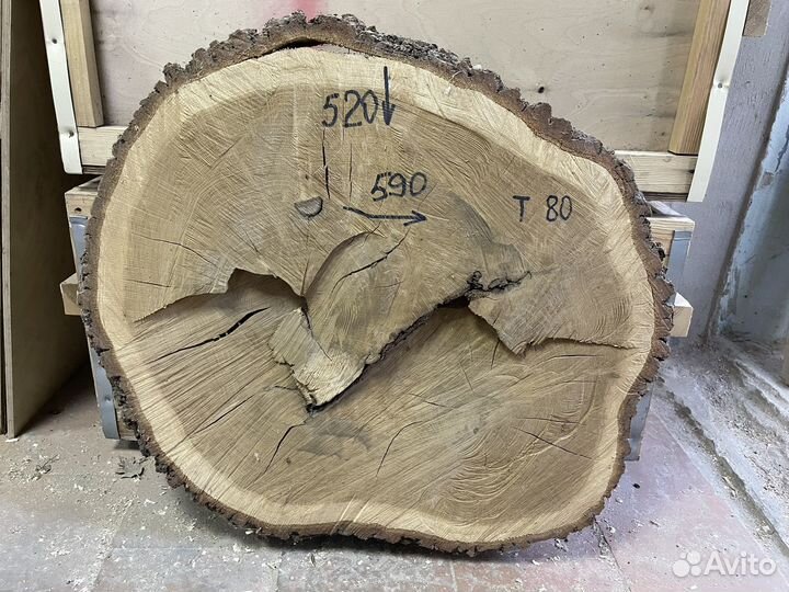 Каповый тополь