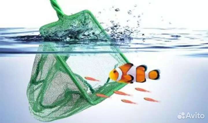 Сачок для аквариума