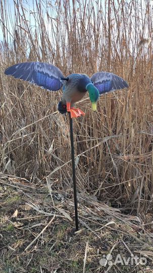 Махокрыл утка электромеханическая