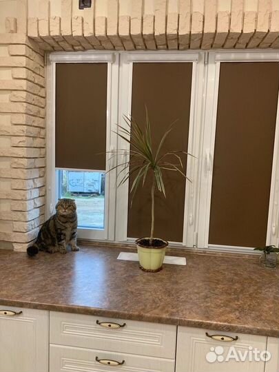 Рулонные шторы